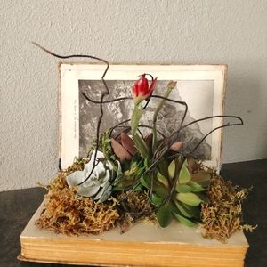 Succulent / Book Decor Southwest Flair